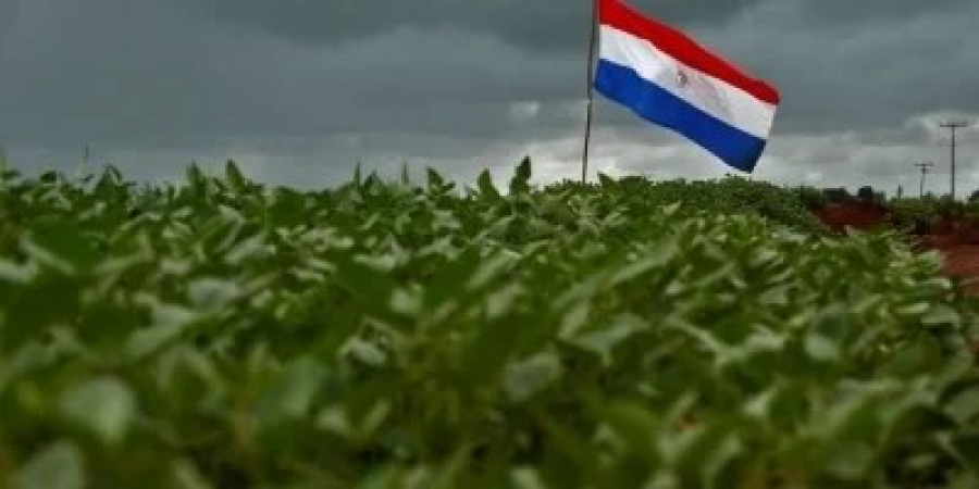 Safra de soja do Paraguai deve alcançar 10,5 milhões de toneladas após desafios climáticos
